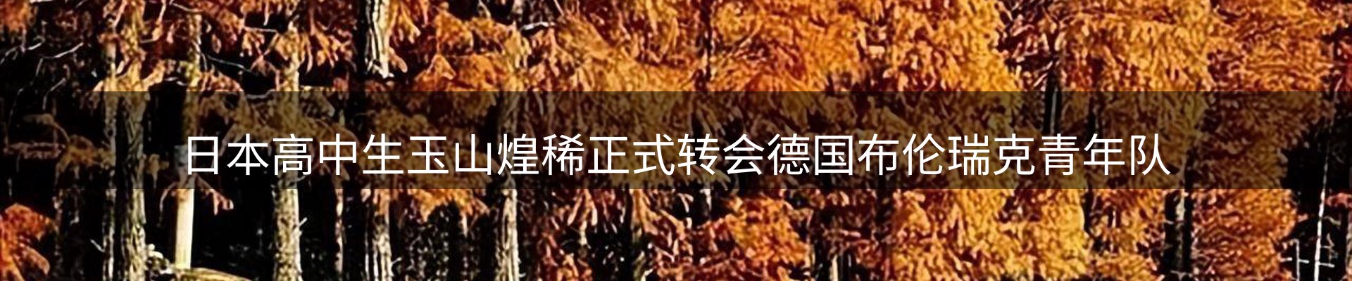 焦点展望
