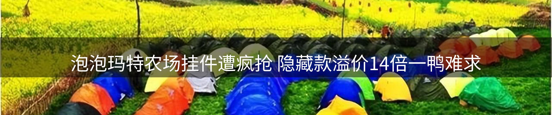 焦点展望